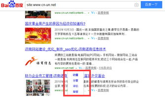 seo基礎理念的之收錄數據的分析