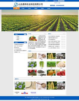 山東鼎坤農業企業網站建設成功案例 康美科技助力濟南農業品牌數字化轉型